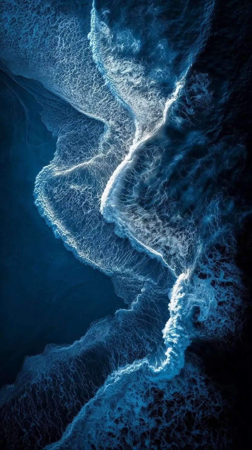 纯净海域——贻贝钙肽CAPCS®的深海起源